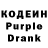 Кодеиновый сироп Lean Purple Drank Shazib Sindhu