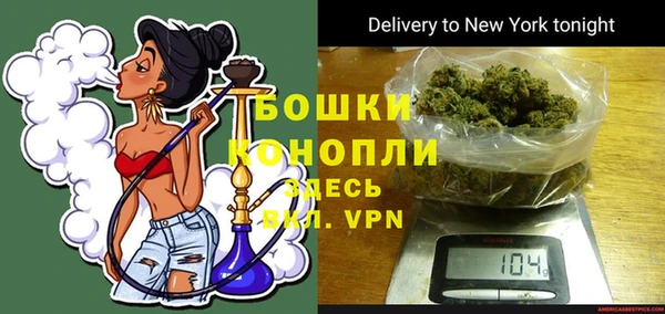 индика Нягань