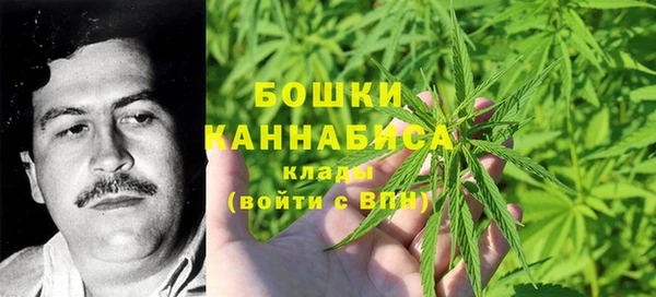 ECSTASY Липки