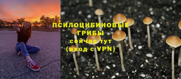 каннабис Лабытнанги