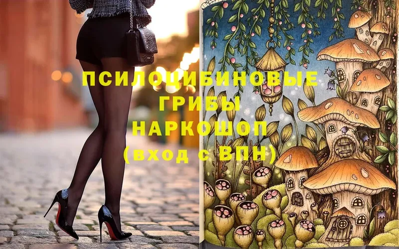 blacksprut ТОР  Череповец  Псилоцибиновые грибы MAGIC MUSHROOMS 