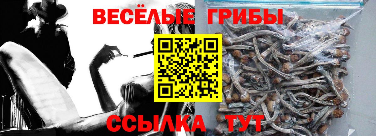 Галлюциногенные грибы прущие грибы  наркота  Псилоцибиновые грибы Psilocybine cubensis  Череповец 