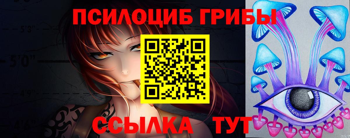 Псилоцибиновые грибы Psilocybe Череповец